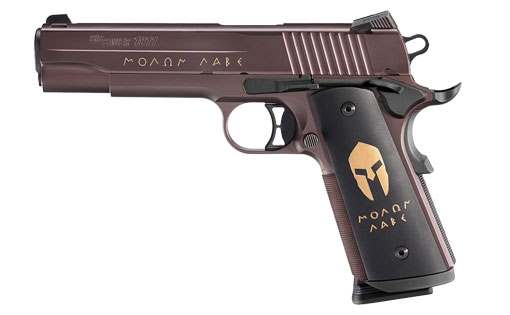 SIG SAUER 1911 SPARTAN 45ACP ORB 5″ NS # 1911-45-SPARTAN 191145SPARTAN