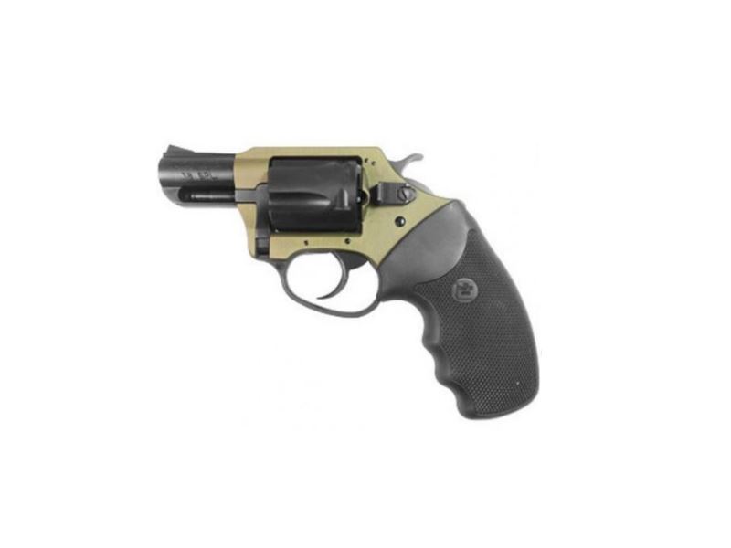 Charter Arms Earthborn 38Spc Earthtone/Blk 2″ Bbl | Rubber Grips | 5 Shot Ch53863