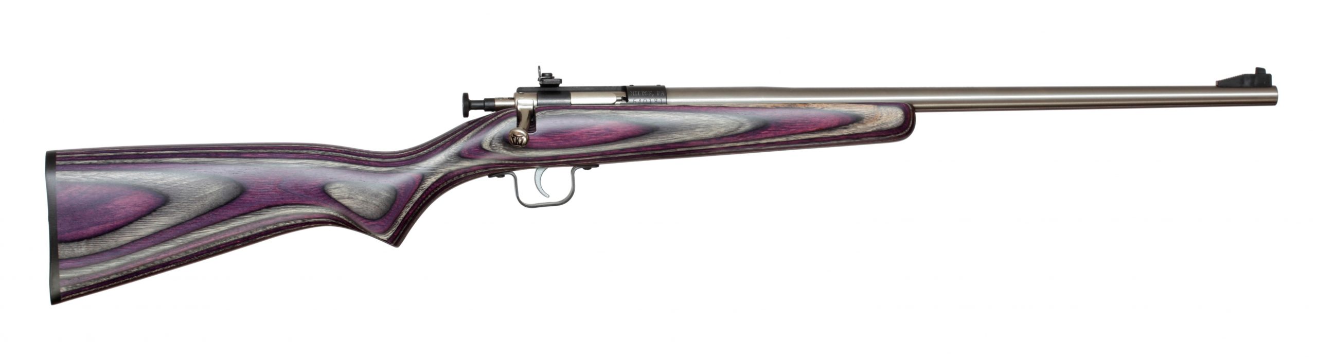 Keystone Sporting Arms CRICKETT 22LR SS/PURPLE LAM BLUE RECEIVER W/STAINLESS BBL KSA2228 scaled