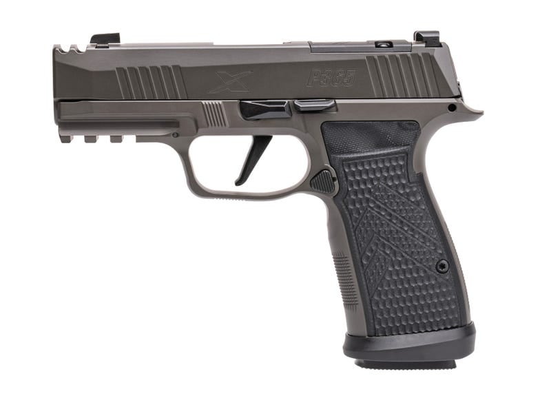 Sig Sauer P365 Axg Legion Gray 9Mm 3.1&Quot; Barrel 17-Rounds Optics Ready