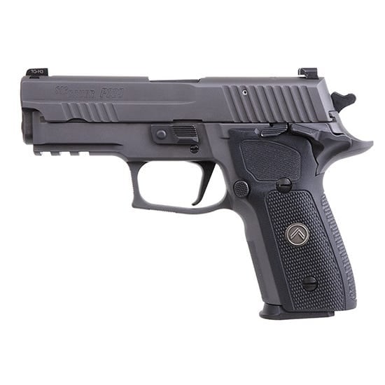 Sig Sauer P229 Legion Sao Gray 9Mm 3.9&Quot; Barrel 15-Rounds 3-Mags Sig Sauer P229 Legion Sao 798681591596 798681591596