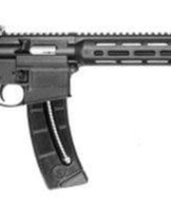 Smith & Wesson M&P 15-22 Sport Rifle 22 LR