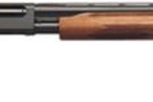 Remington 870 Express 12 Ga