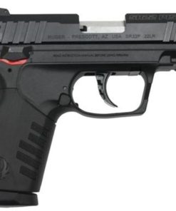 Ruger SR22 Pistol