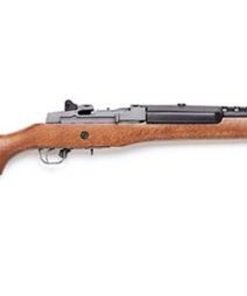 Ruger Mini 14