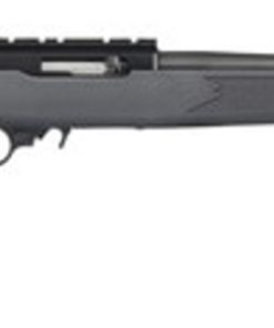 Ruger 10/22 Carbine .22 LR