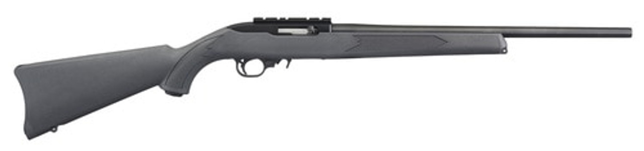 Ruger 10/22 Carbine .22 Lr