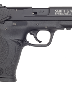 Smith & Wesson M&P 22 LR